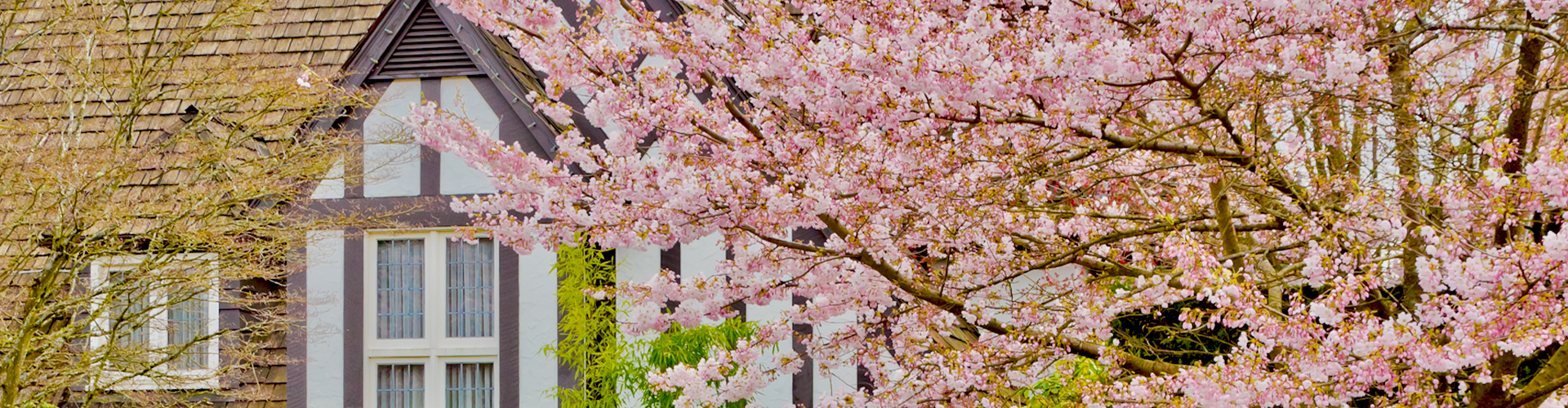 Purchasing a House Check List